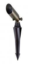 Elegant C050 - C050 Landscape spot light in antique brass finish