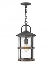 Hinkley 2682DZ-LV - Medium Hanging Lantern 12v